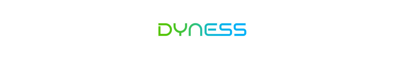 Инверторы Dyness