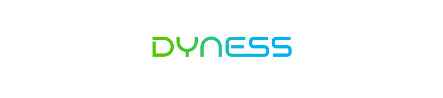 Dyness Dyness